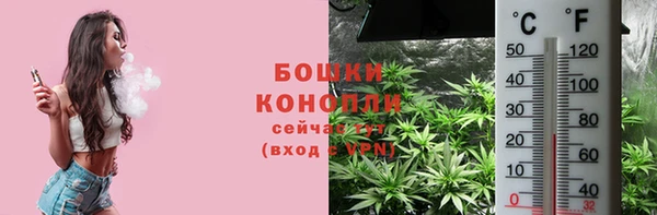 ECSTASY Армянск