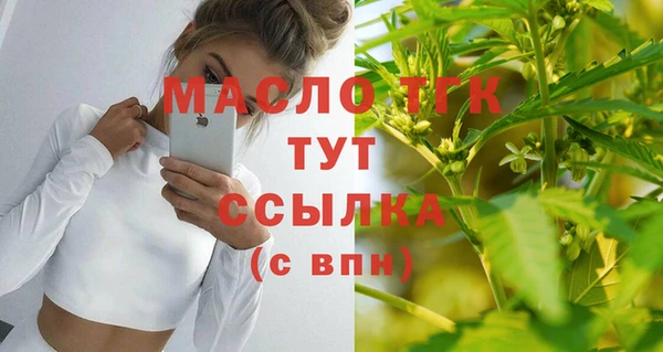 ешки Бородино
